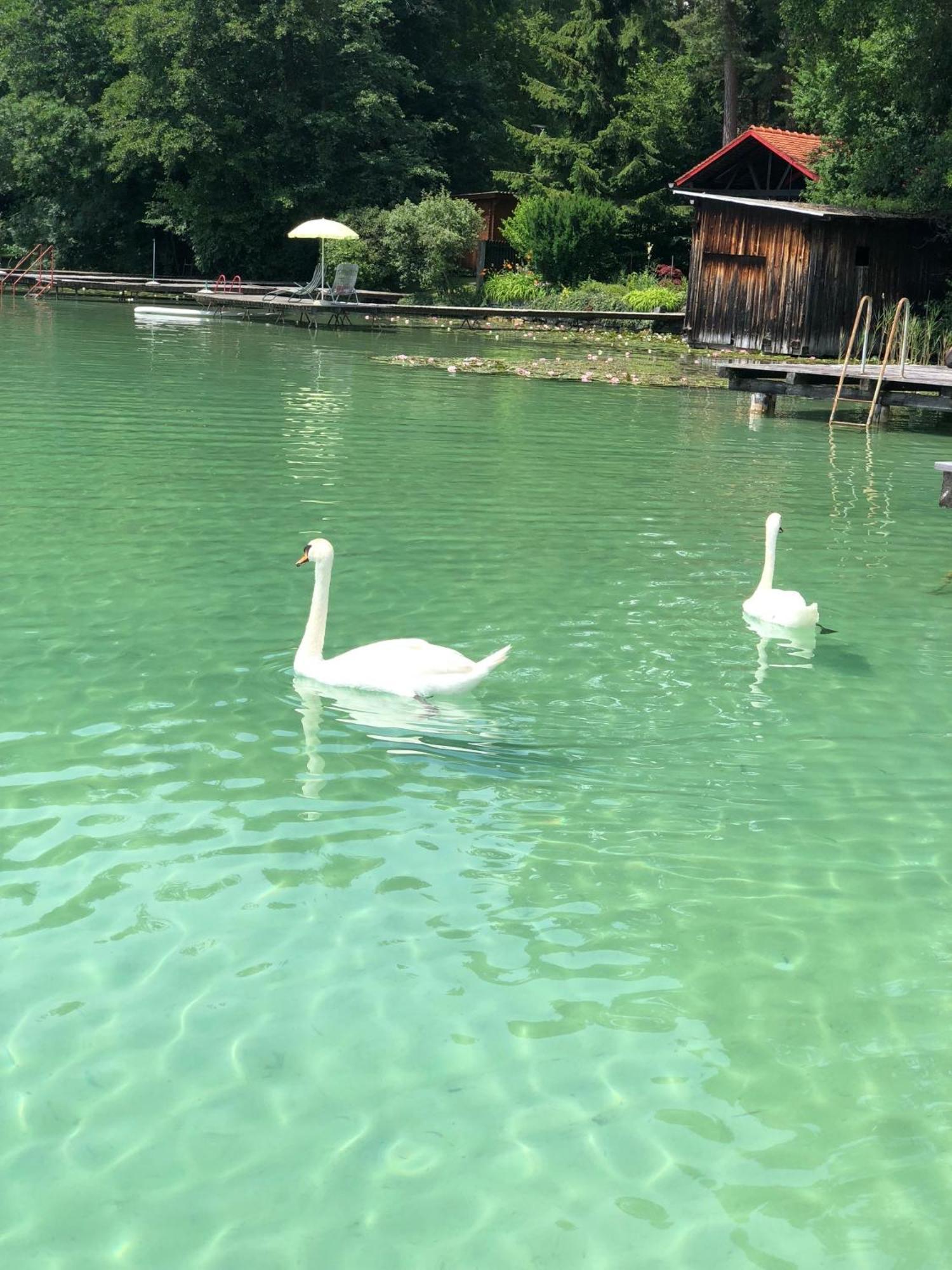 Hotel Alex Sankt Kanzian am Klopeiner See Εξωτερικό φωτογραφία