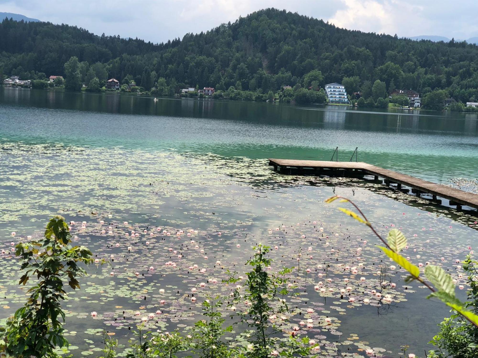 Hotel Alex Sankt Kanzian am Klopeiner See Εξωτερικό φωτογραφία